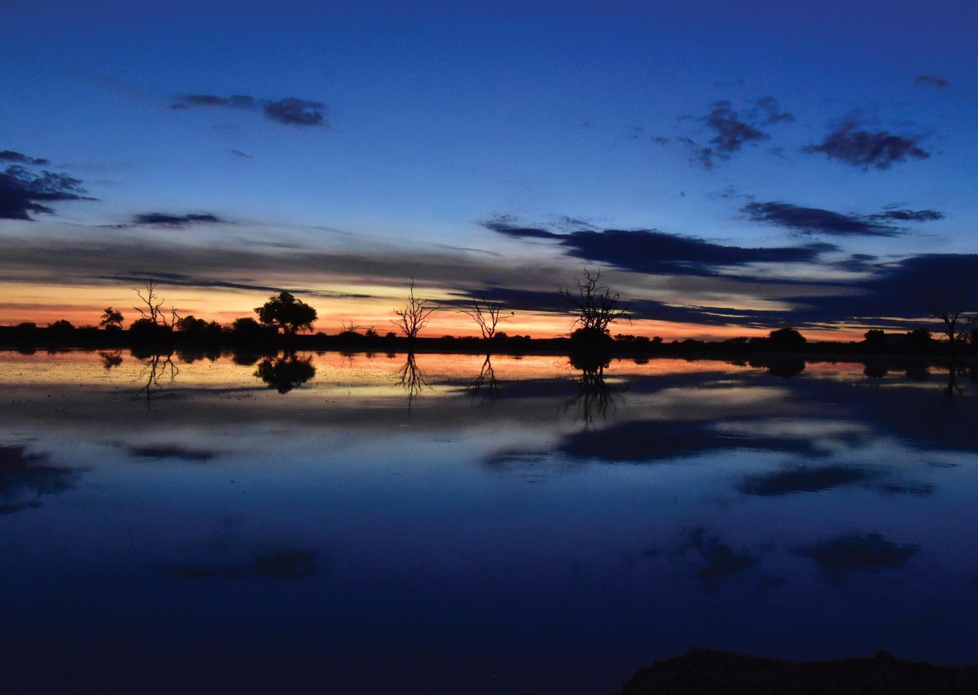 Madikwe River Lodge By Dream Resorts Madikwe Game Reserve Εξωτερικό φωτογραφία