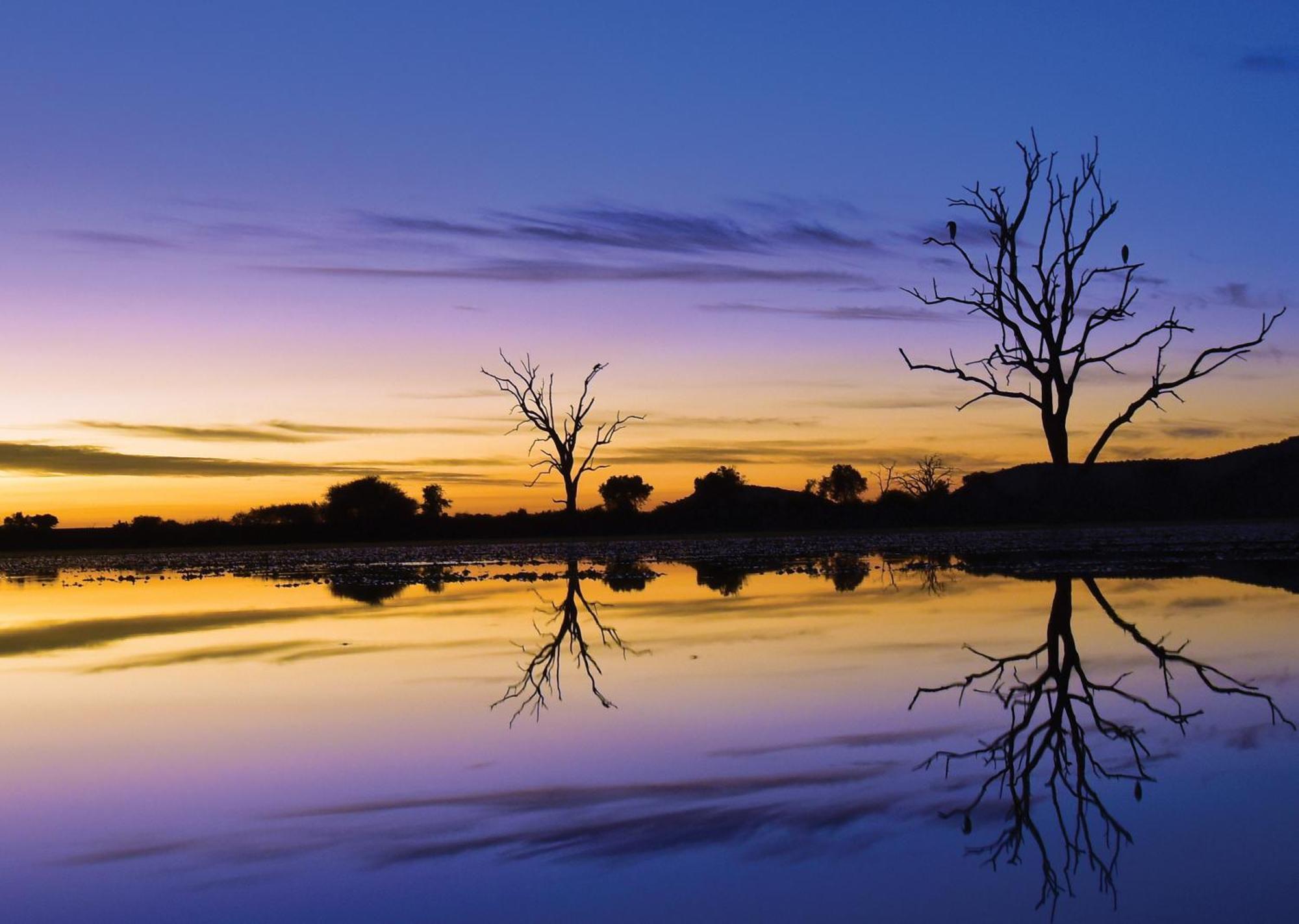 Madikwe River Lodge By Dream Resorts Madikwe Game Reserve Εξωτερικό φωτογραφία