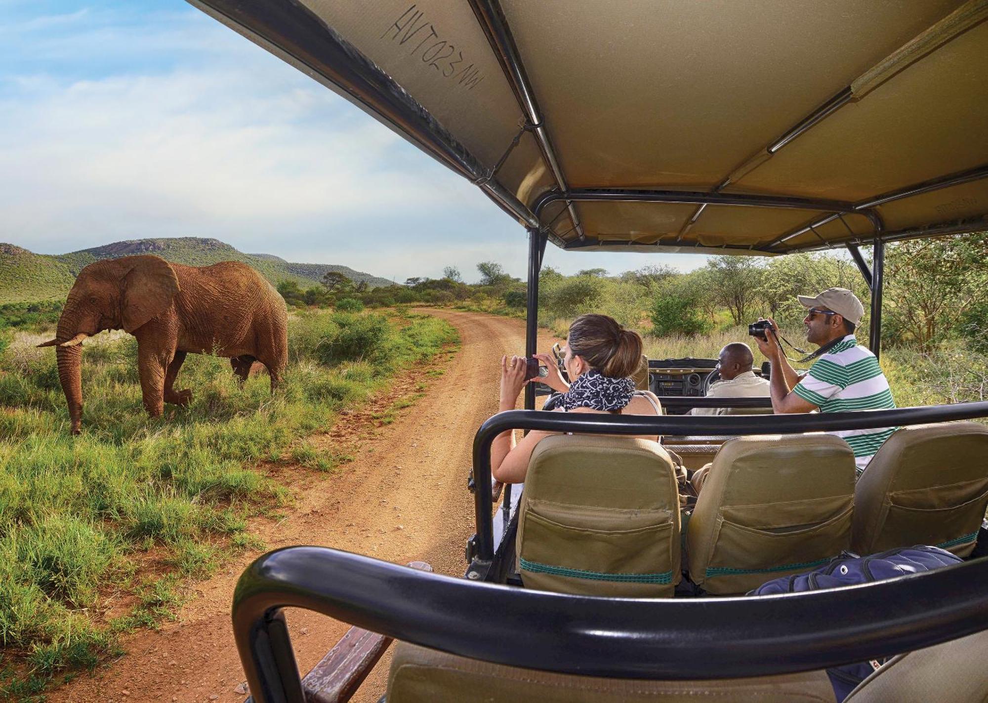 Madikwe River Lodge By Dream Resorts Madikwe Game Reserve Εξωτερικό φωτογραφία
