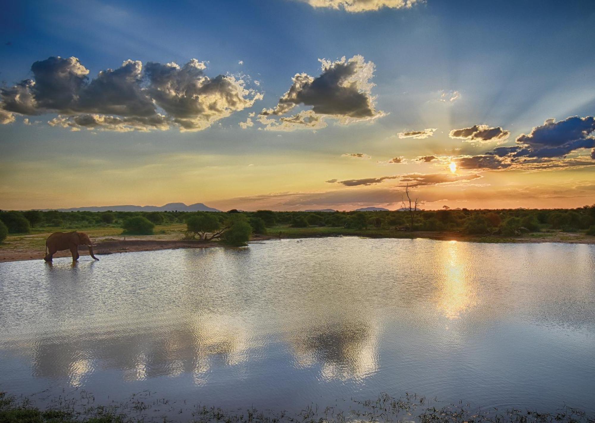 Madikwe River Lodge By Dream Resorts Madikwe Game Reserve Εξωτερικό φωτογραφία