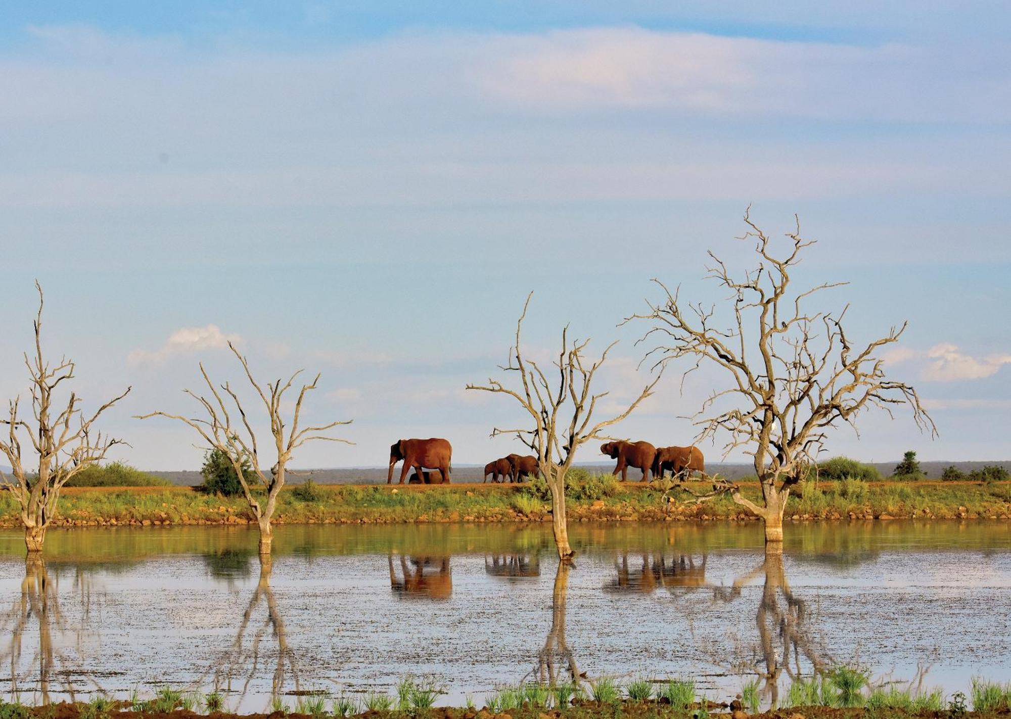Madikwe River Lodge By Dream Resorts Madikwe Game Reserve Εξωτερικό φωτογραφία
