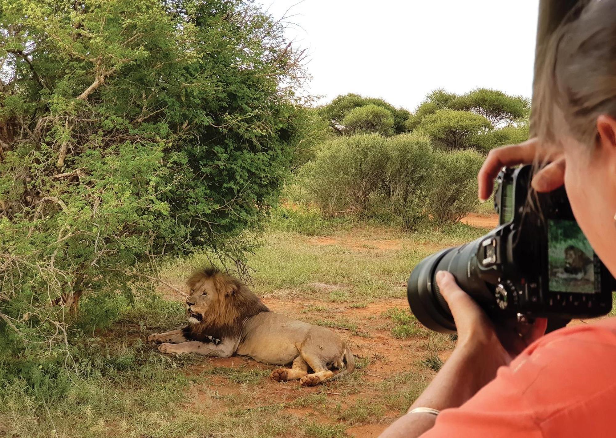 Madikwe River Lodge By Dream Resorts Madikwe Game Reserve Εξωτερικό φωτογραφία
