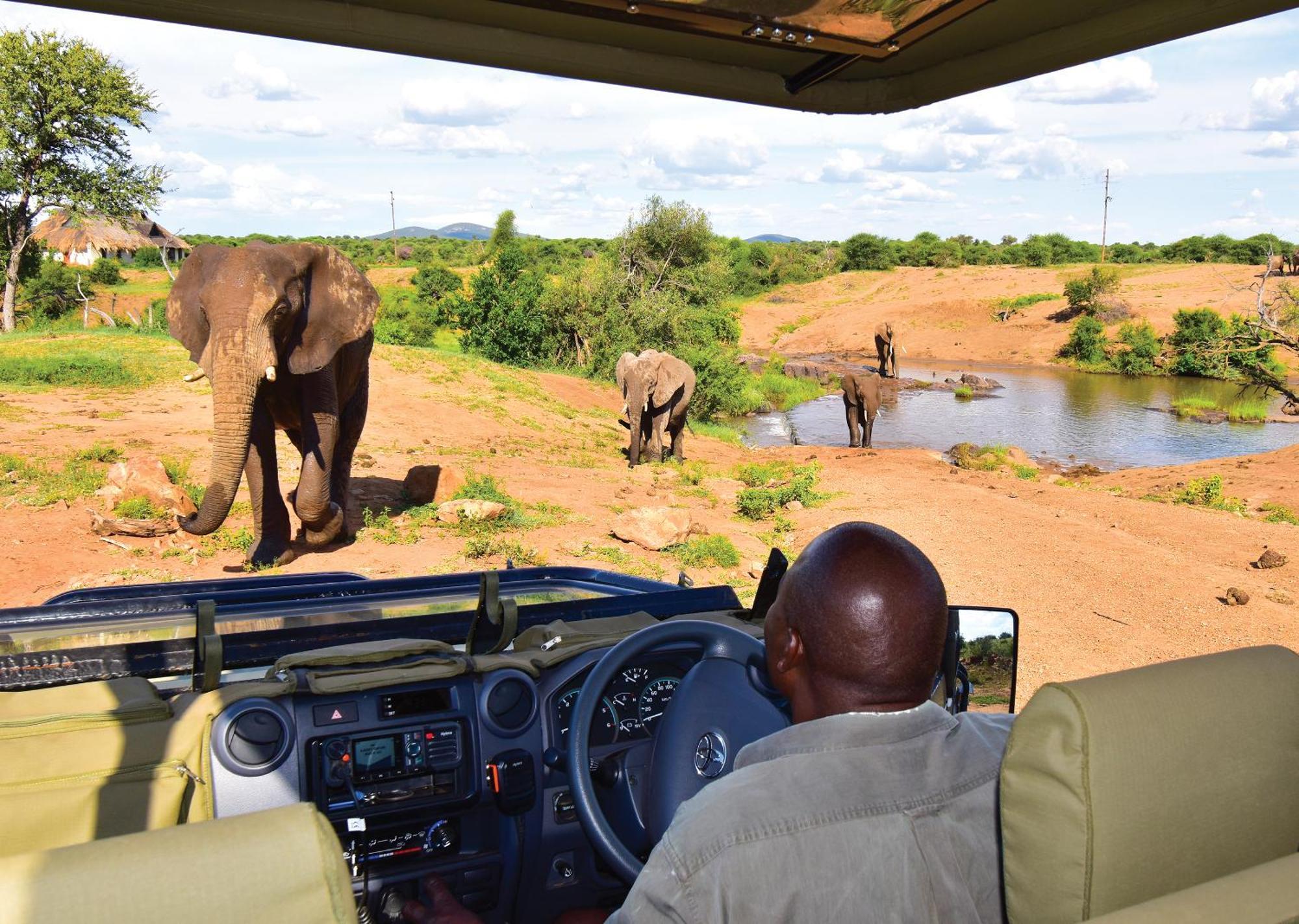 Madikwe River Lodge By Dream Resorts Madikwe Game Reserve Εξωτερικό φωτογραφία