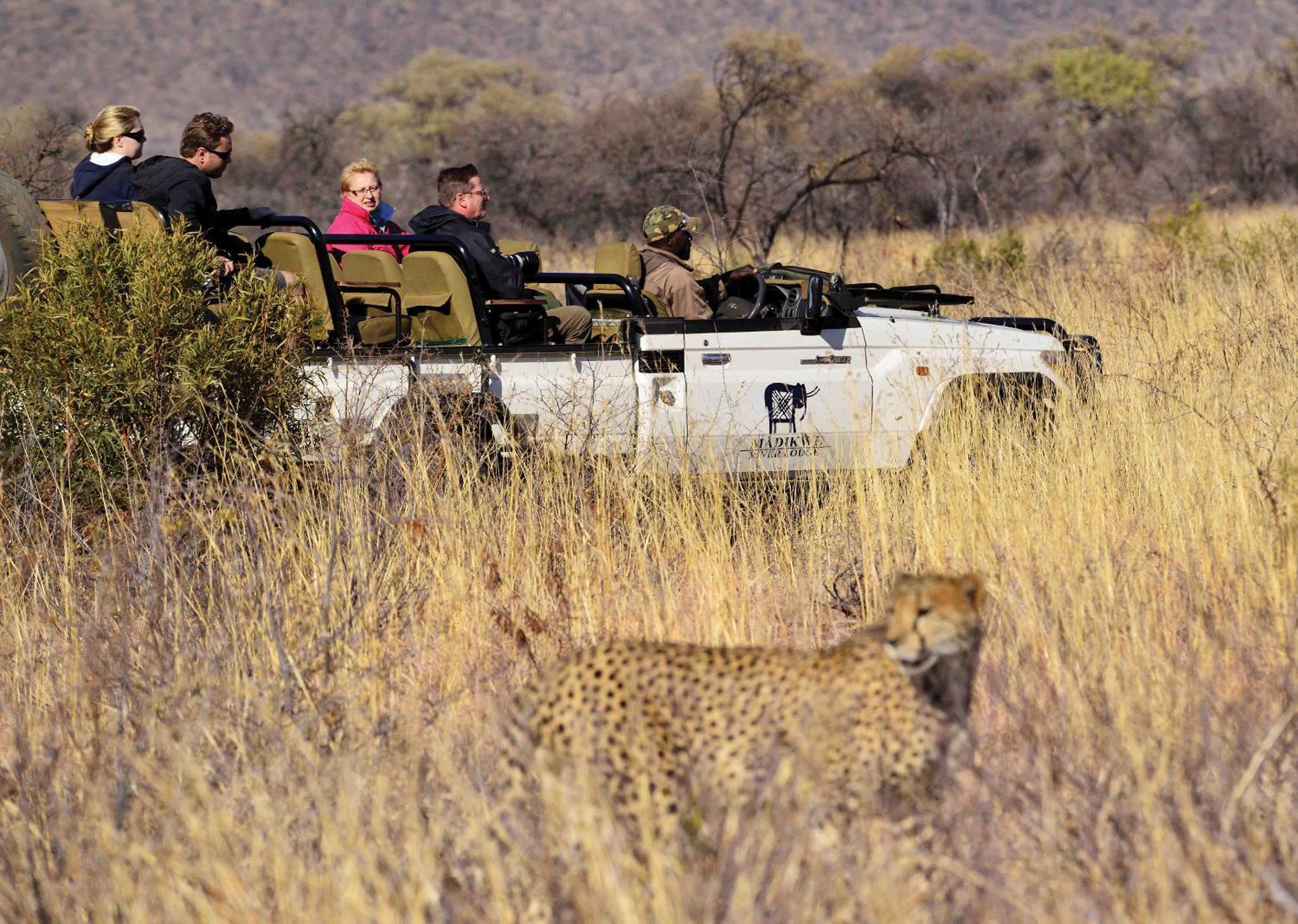 Madikwe River Lodge By Dream Resorts Madikwe Game Reserve Εξωτερικό φωτογραφία
