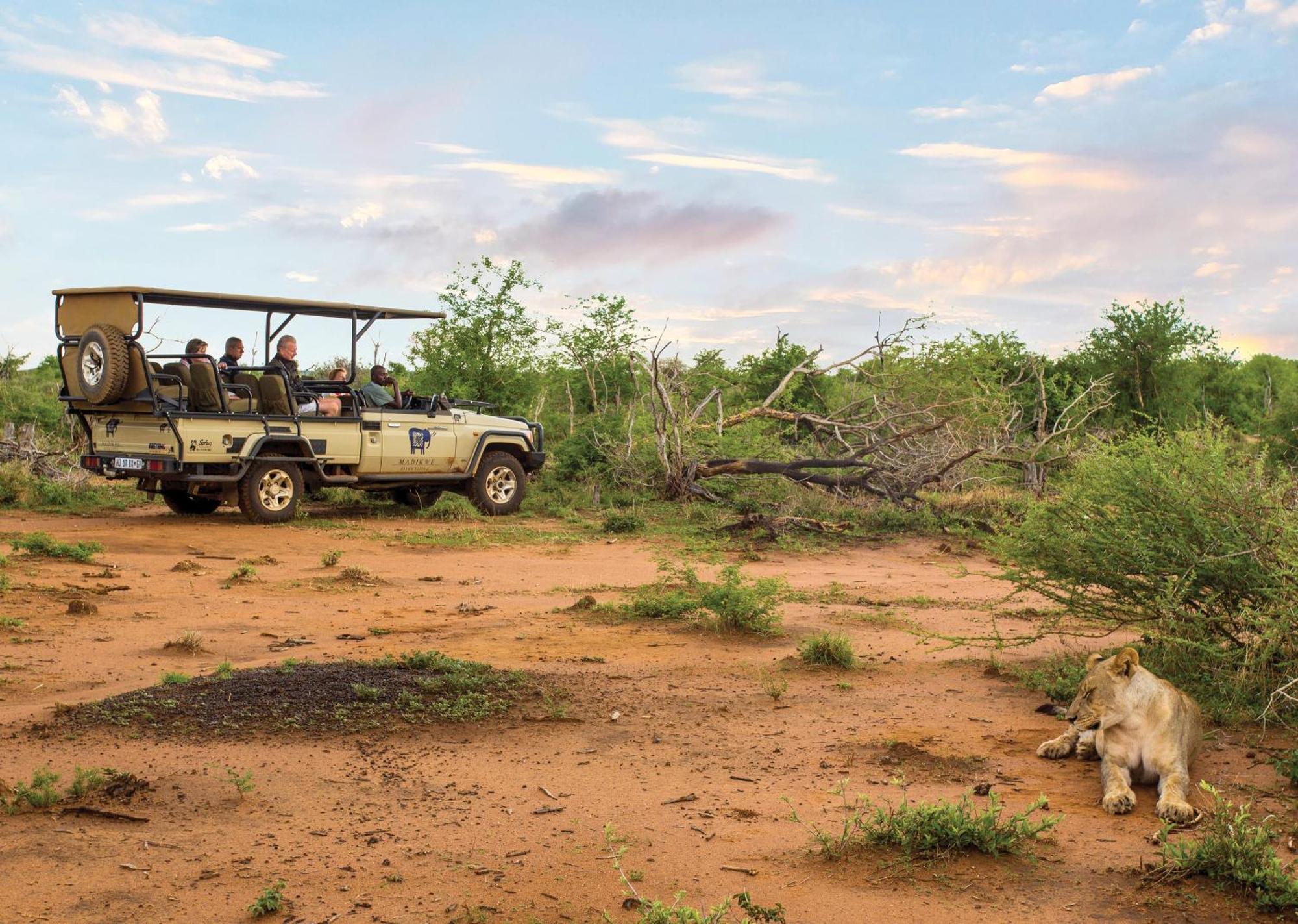 Madikwe River Lodge By Dream Resorts Madikwe Game Reserve Εξωτερικό φωτογραφία