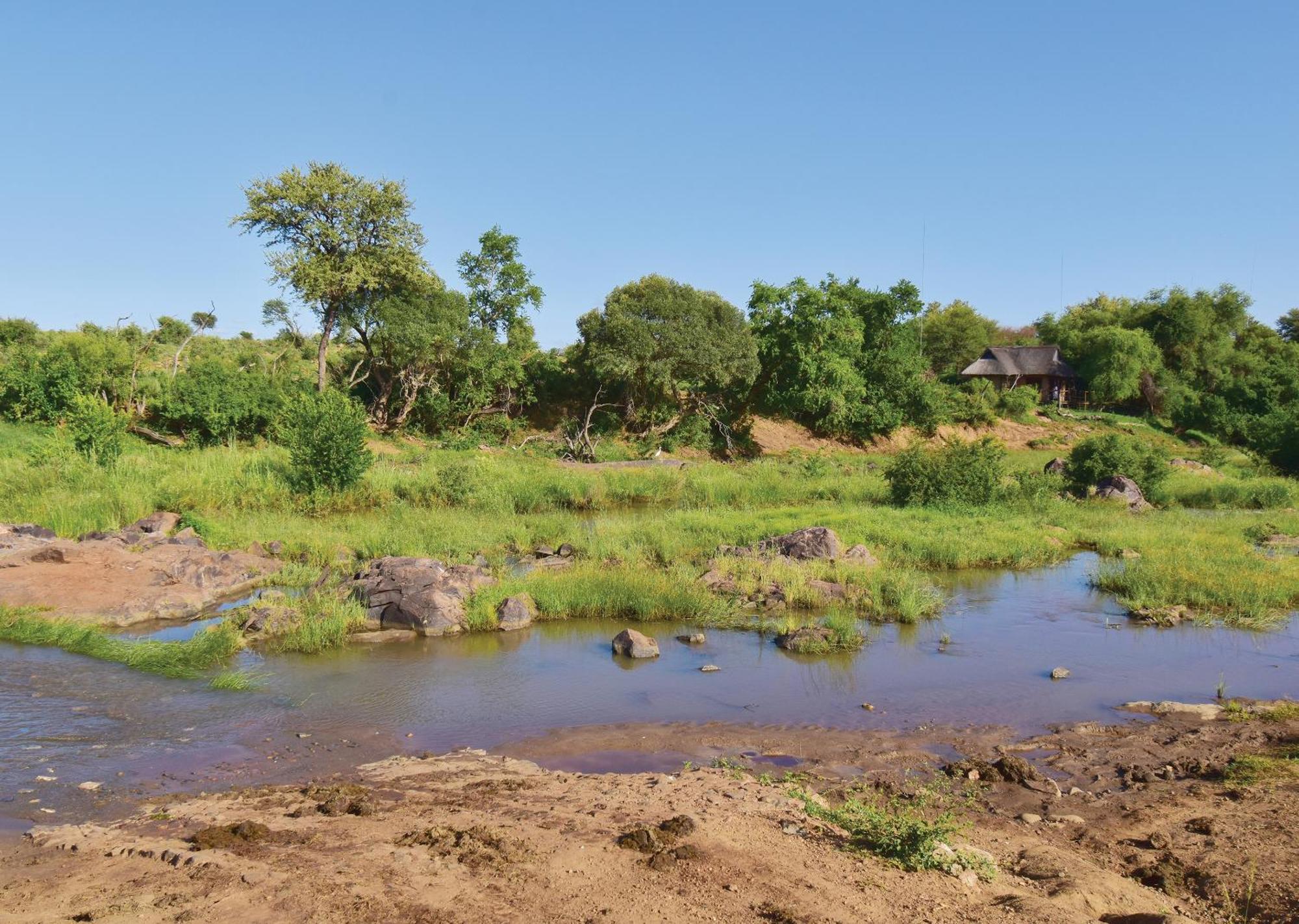 Madikwe River Lodge By Dream Resorts Madikwe Game Reserve Δωμάτιο φωτογραφία