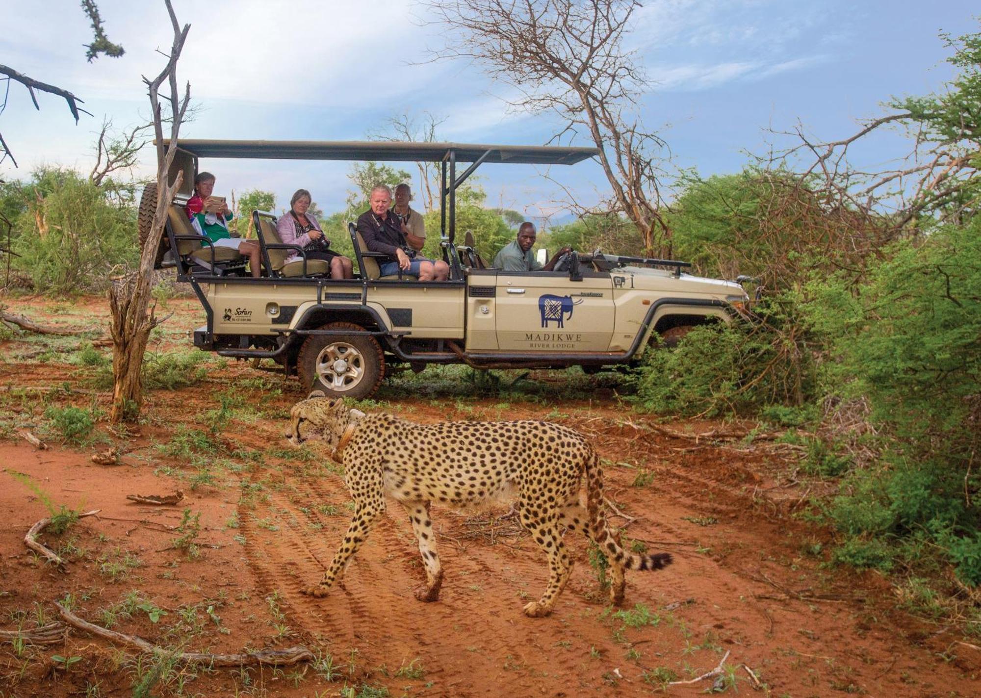 Madikwe River Lodge By Dream Resorts Madikwe Game Reserve Εξωτερικό φωτογραφία